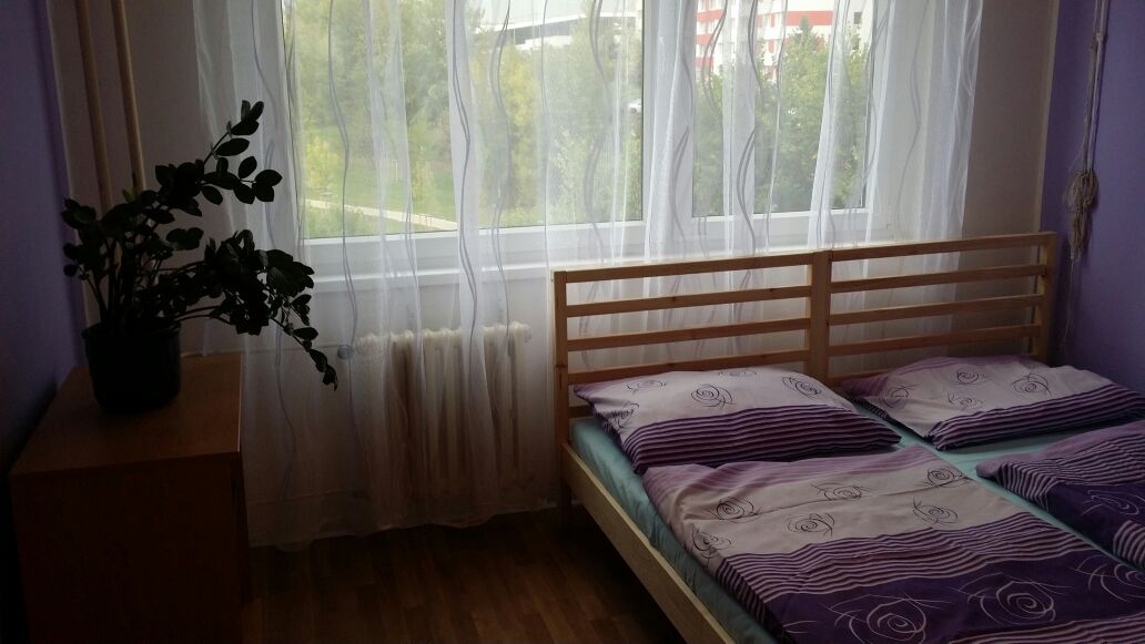 ubytování v hotelu na Vánoce